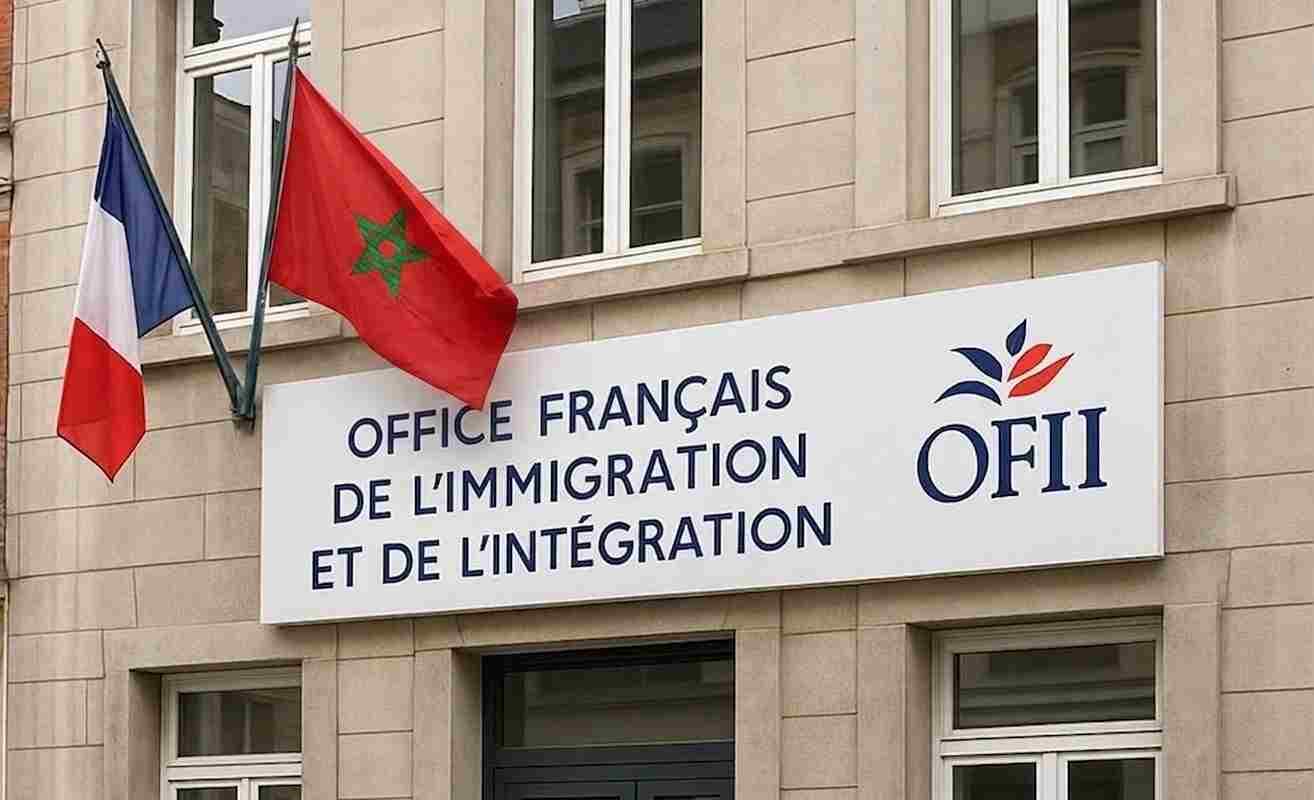الخدمات القنصلية والمكتب الفرنسي للهجرة (OFII) بين فرنسا ومصر — صورة توضيحية